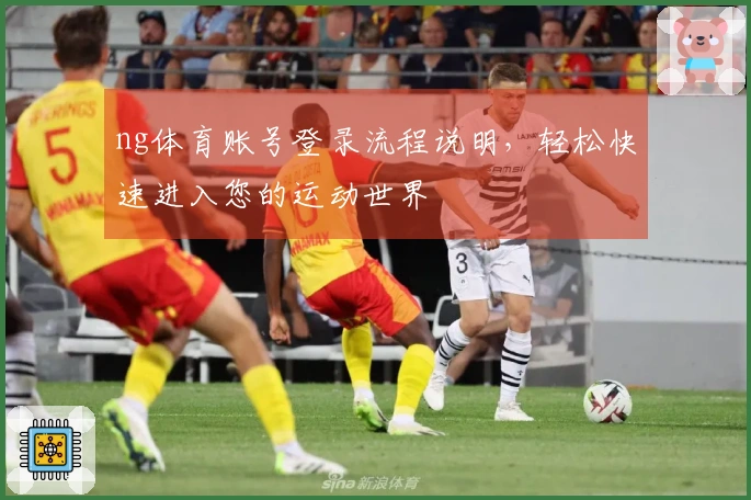 ng体育账号登录流程说明，轻松快速进入您的运动世界