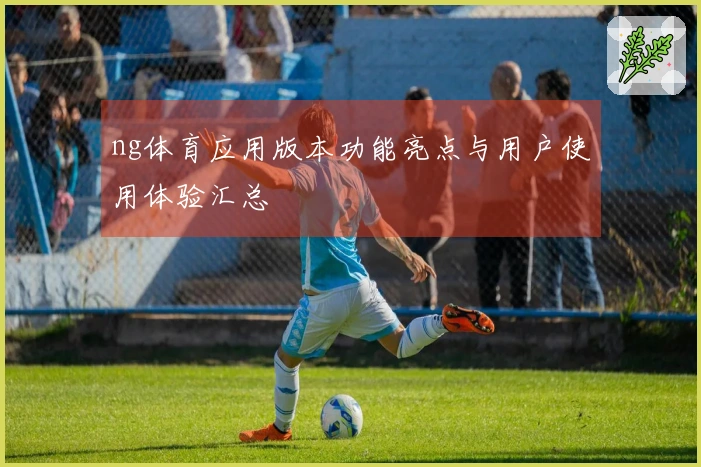 ng体育应用版本功能亮点与用户使用体验汇总