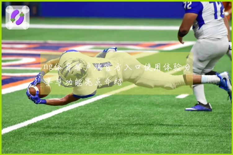 ng体育客户端官方入口使用体验分享与功能亮点介绍