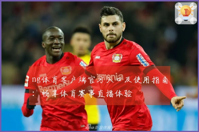 ng体育客户端官方入口及使用指南：畅享体育赛事直播体验