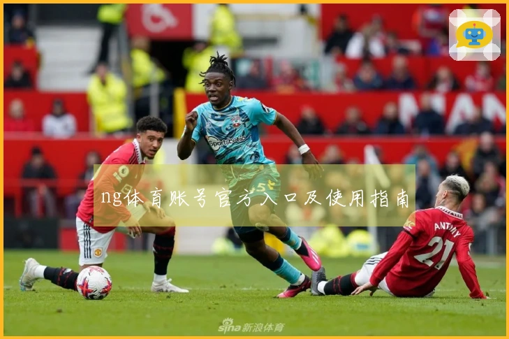 ng体育账号官方入口及使用指南