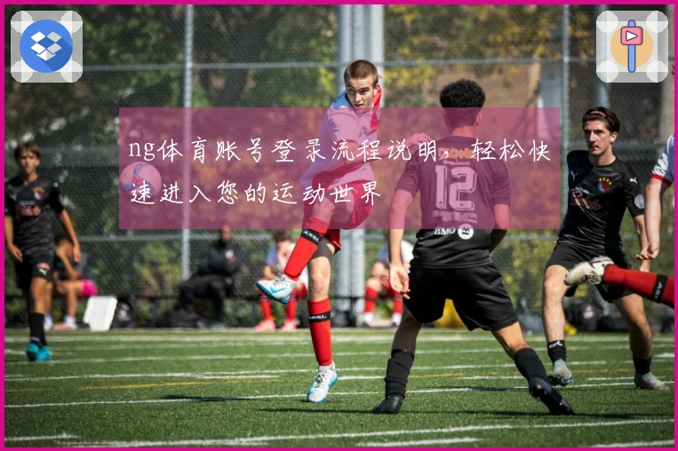 ng体育账号登录流程说明，轻松快速进入您的运动世界