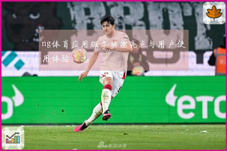 ng体育应用版本功能亮点与用户使用体验汇总
