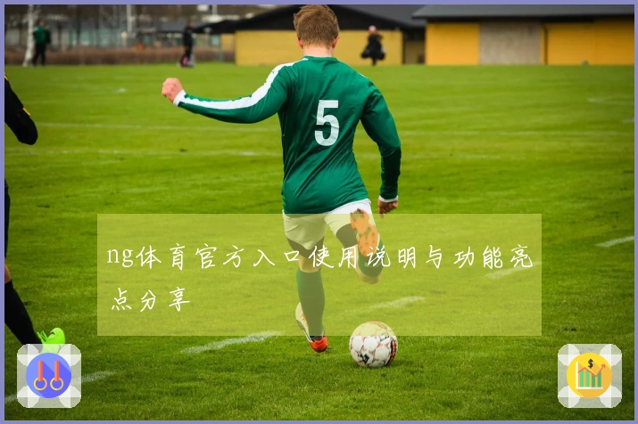 ng体育官方入口使用说明与功能亮点分享