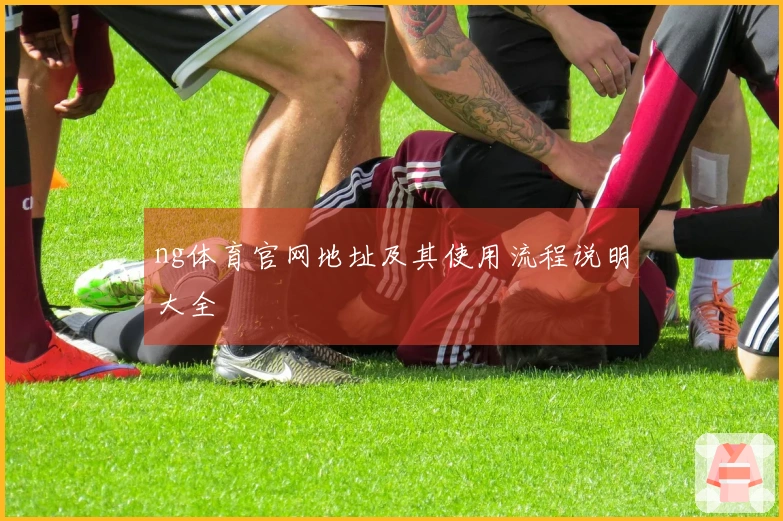 ng体育官网地址及其使用流程说明大全