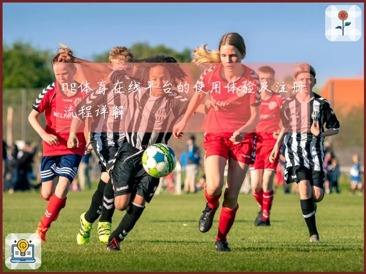 ng体育在线平台的使用体验及注册流程详解